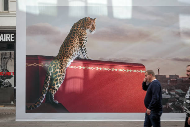 人們帶著豹子路過海報 - leopard 2 個照片及圖片檔