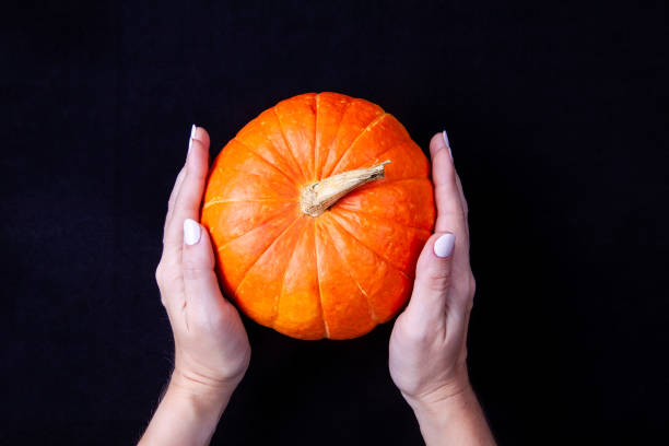 istock Woman hands holding a small orange pumpkin on black background. Top view 1174798021