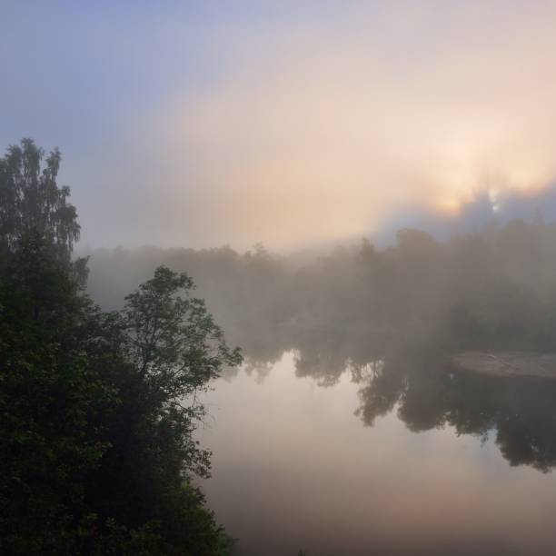 istock Fog in Gauja river valley at dawn 1174798725