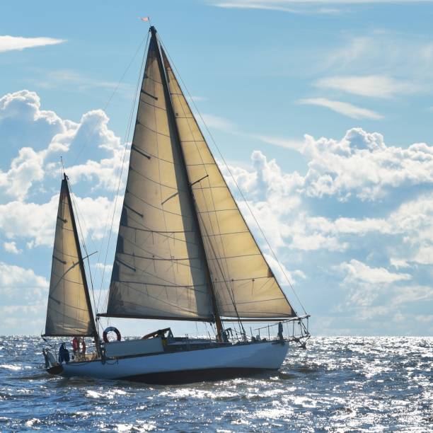 istock Yacht sailing on a sunny day in Riga bay 1174798794