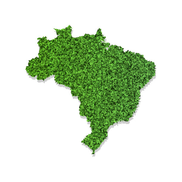 istock Vector isolated simplified illustration icon with green grassy silhouette of Brazil map. White background 1174801241