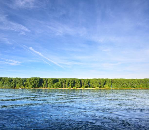 istock View of Rhine river flowing through a forest 1174802380
