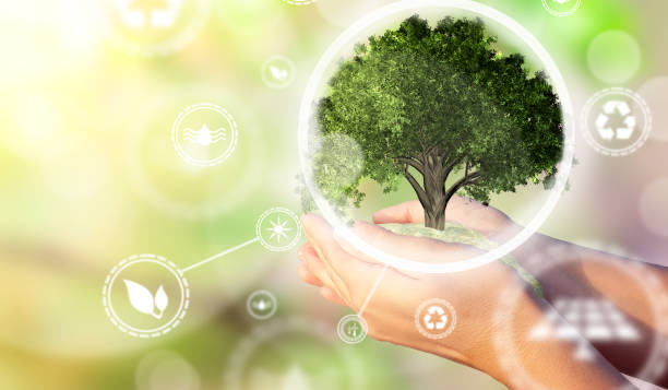 istock A woman's hands holding a miniature tree. Environmental biodiversity in ecosystem concept with renewable energy symbol 1174804775