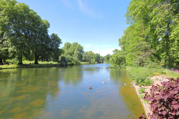 istock St James park greenery London UK 1174805159