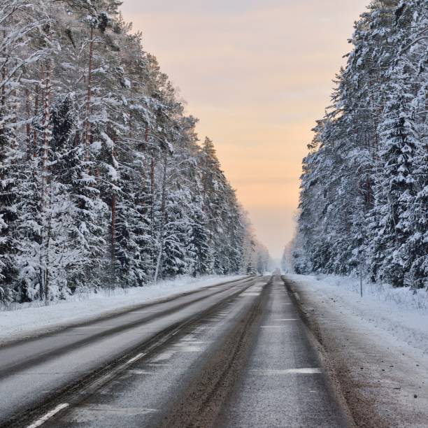 istock Forest highway through an old coniferous forest at winter 1174805918