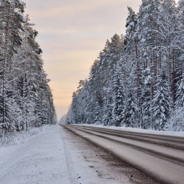 istock Forest highway through an old coniferous forest at winter 1174805991