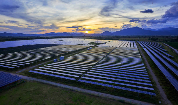 istock Aerial solar photovoltaic panel at sunset 1174806459