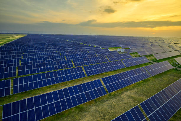 istock Aerial solar photovoltaic panel at sunset 1174807026
