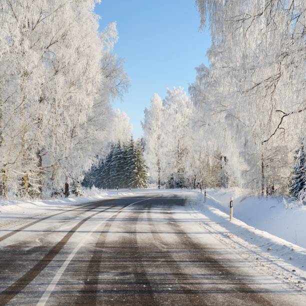 istock Winter wonderland snowcovered forest road with birch trees on a sunny day 1174808024