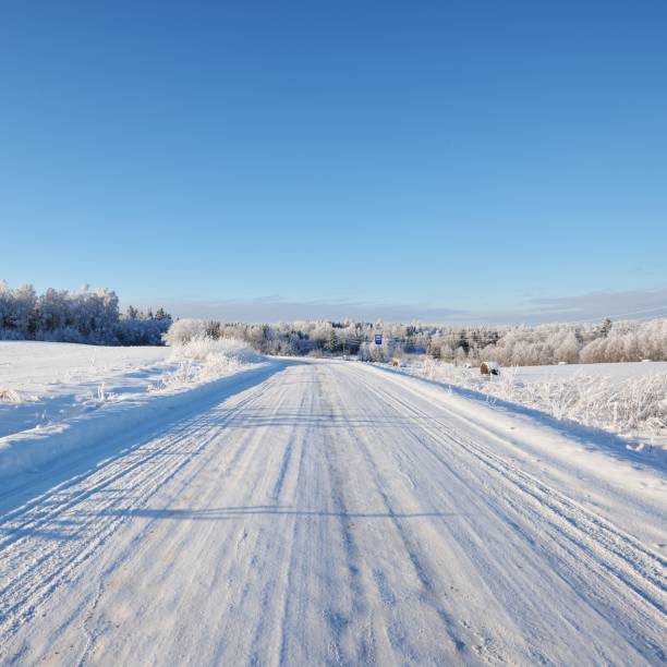 istock Snowcovered rural road in winter on a sunny day 1174808091