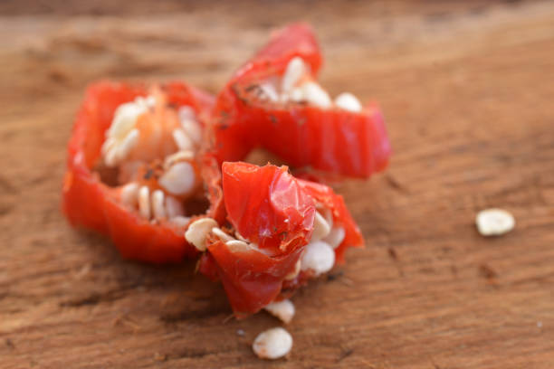 istock Red hot chili peppers seeds 1174812860