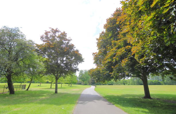 istock Regent park nature in London UK 1174815225