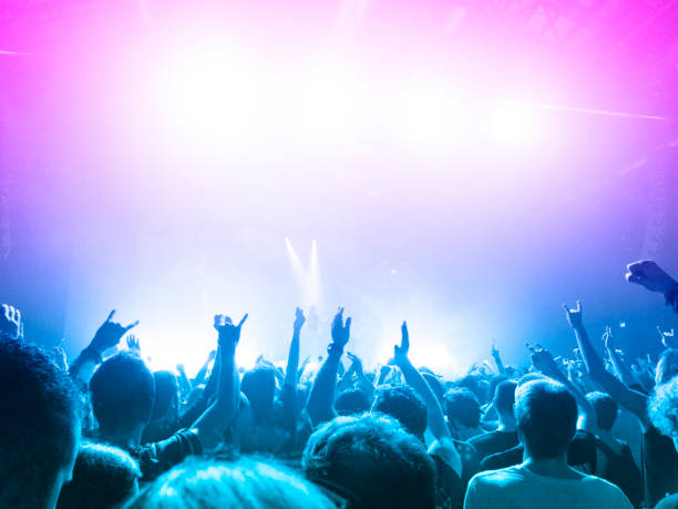 istock Music festival crowd 1174815402