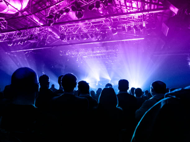 istock Music festival crowd 1174815412