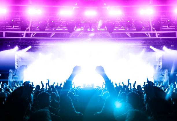 istock Music festival crowd 1174815421
