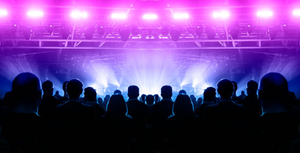 istock Music festival crowd 1174815424