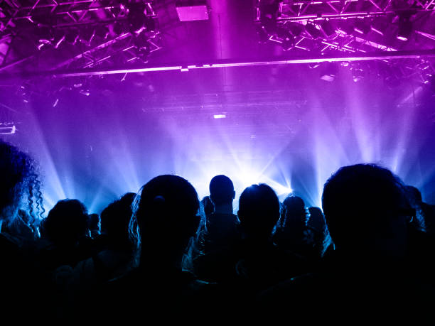 istock Music festival crowd 1174815432