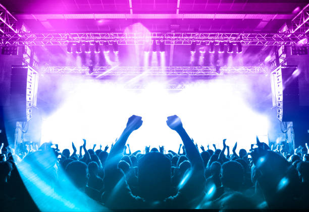 istock Music festival crowd 1174815433