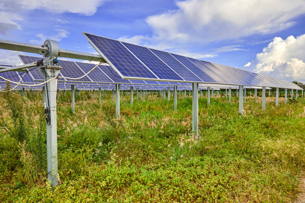 istock Overgrown solar photovoltaic construction base 1174816802