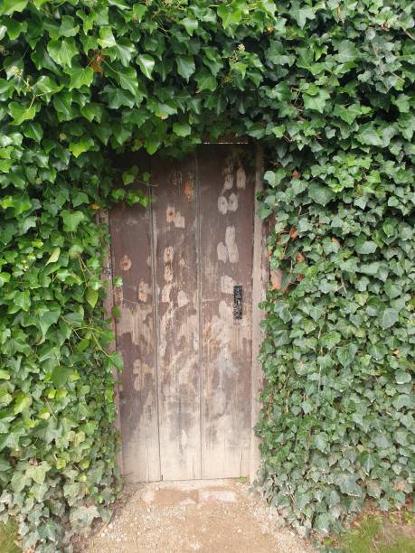 istock Door to Secret Garden 1174817335