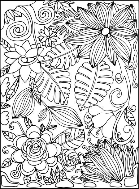 illustrazioni stock, clip art, cartoni animati e icone di tendenza di cartolina disegnata a mano con fiori tropicali, giungla, foglie di palma, giardino tropicale in bianco e nero. pagina del libro da colorare. illustrazione vettoriale. - web page backgrounds doodle frame