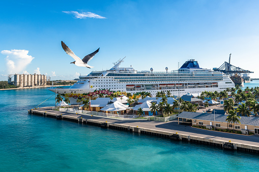 Freeport, Grand Bahama, Bahamas-July 16, 2019: A seagull bird flies in the city port where a Norwegian cruise ship is moored during the daytime. The area is a tourist attraction in the country