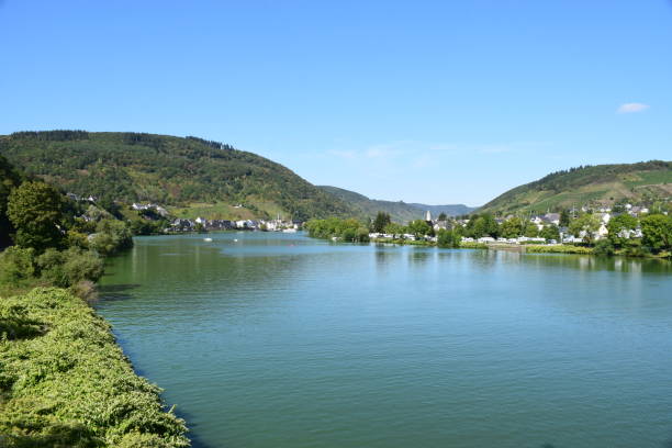 istock terraced wineyards in Mosel valley 1174820618
