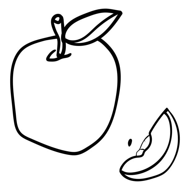 Apple Apple With A Slice Coloring Page Adult And Kids Fruits Apple