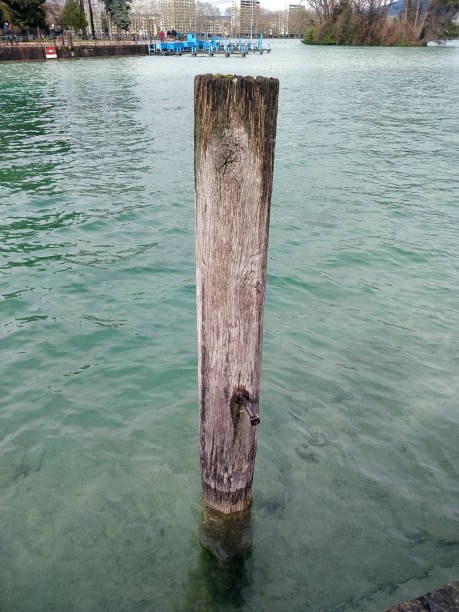 istock Wooden pole in crystal clear water 1174821865