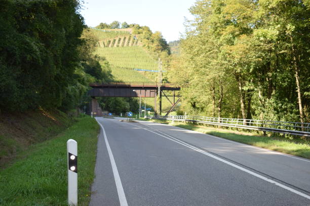 istock Mosel valley road crossing under iron bridge 1174821933