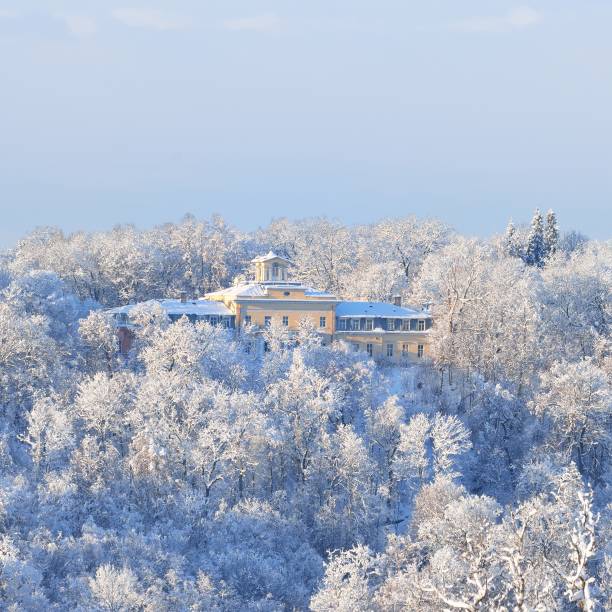 istock Yellow mansion on a pine forest covered hill during frost in winter 1174822678