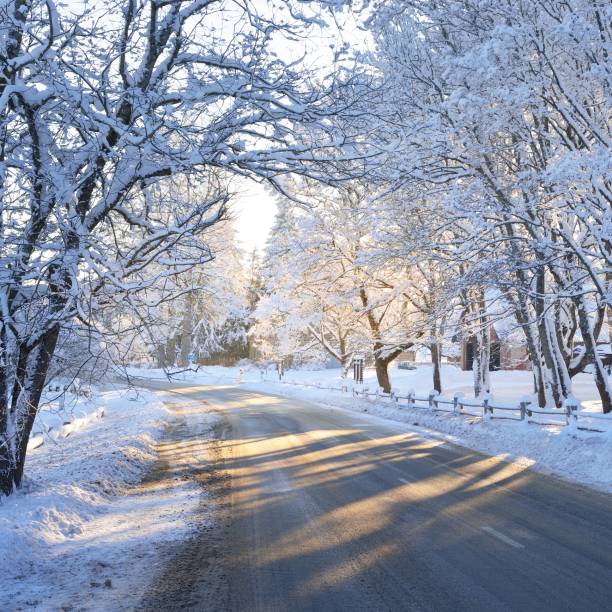 istock Winter highway on a sunny day with snowy trees at sunset 1174822683