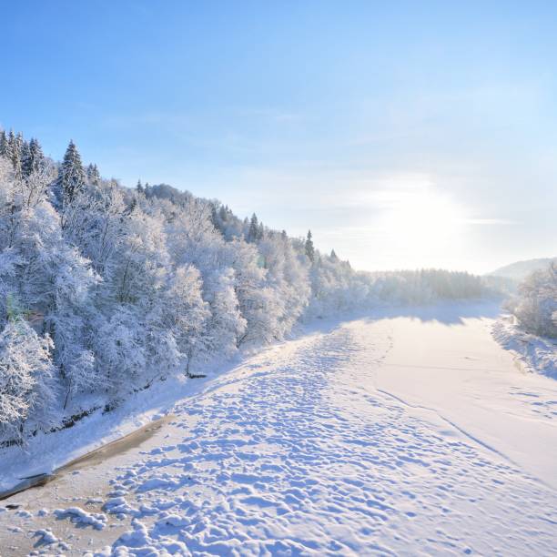 istock Frozen Gauja river view surrounded by snowcovered deciduous trees. Sigulda, Latvia 1174822697