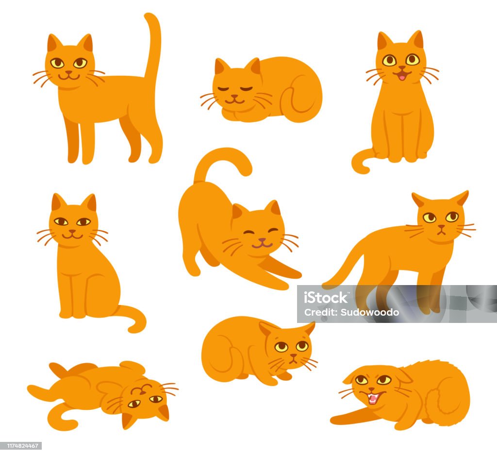 Cartoon Cat Poses Set Stock Illustration - Download Image Now ...