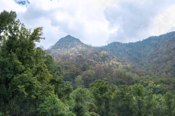 istock Great Smoky Mountains National Park 1174824497