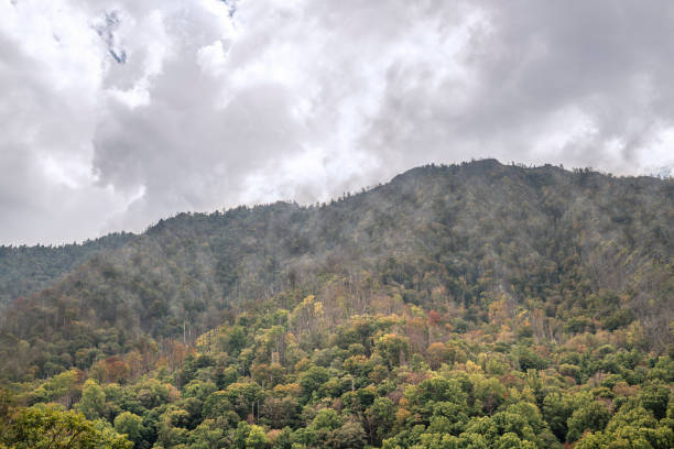 parque nacional das grandes montanhas fumarentos - panoramic tennessee georgia usa - fotografias e filmes do acervo