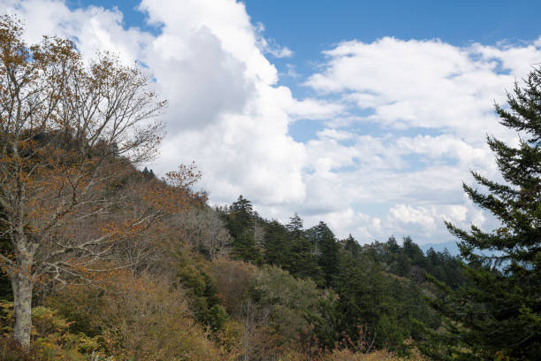 parque nacional das grandes montanhas fumarentos - panoramic tennessee georgia usa - fotografias e filmes do acervo