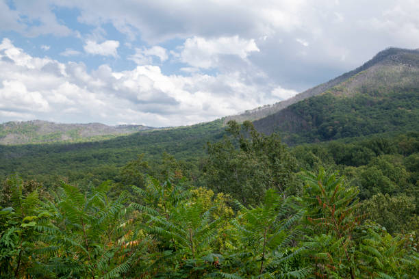 parque nacional das grandes montanhas fumarentos - panoramic tennessee georgia usa - fotografias e filmes do acervo