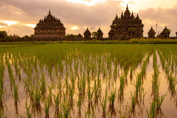 istock sunset at plaosan temple, Yogyakarta 1174825368