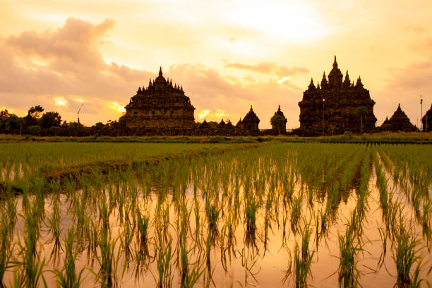 sunset at plaosan temple, Yogyakarta