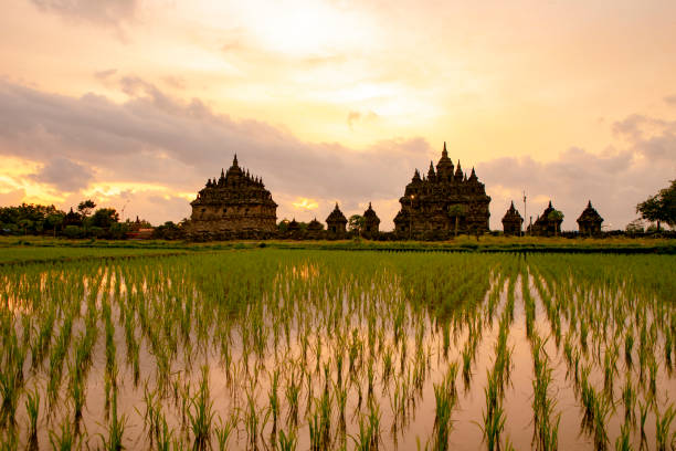 istock sunset at plaosan temple, Yogyakarta 1174825420