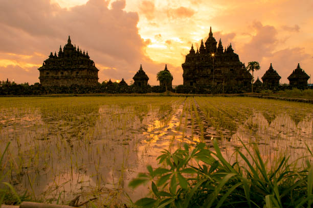 istock sunset at plaosan temple, Yogyakarta 1174825668