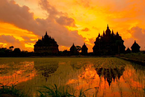 istock sunset at plaosan temple, Yogyakarta 1174825683