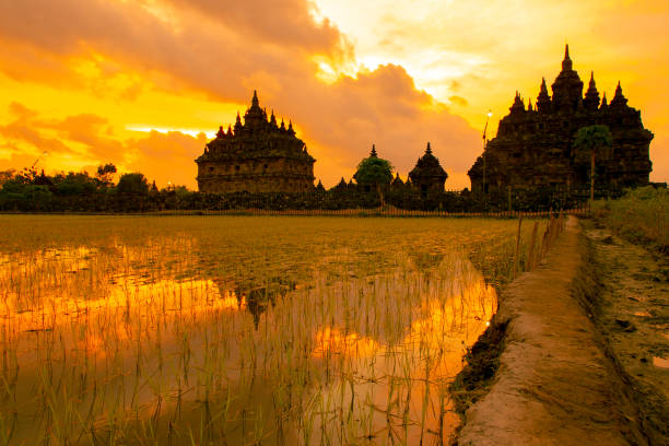 istock sunset at plaosan temple, Yogyakarta 1174825798