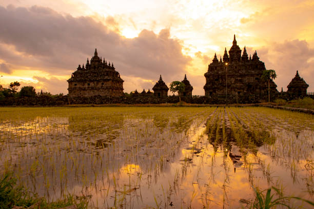istock sunset at plaosan temple, Yogyakarta 1174825866