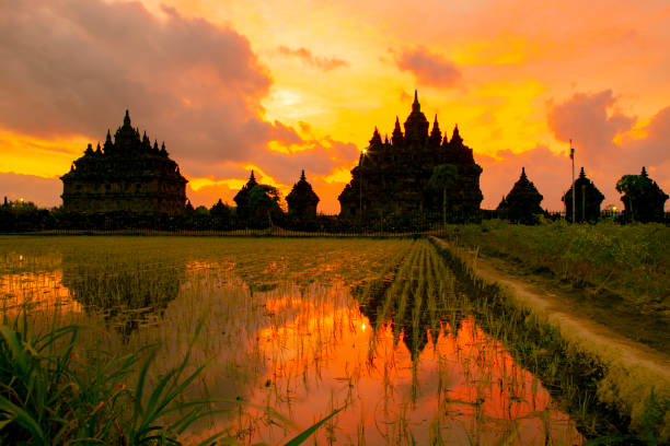 istock sunset at plaosan temple, Yogyakarta 1174825901