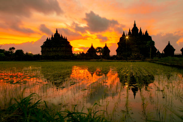 istock sunset at plaosan temple, Yogyakarta 1174825951