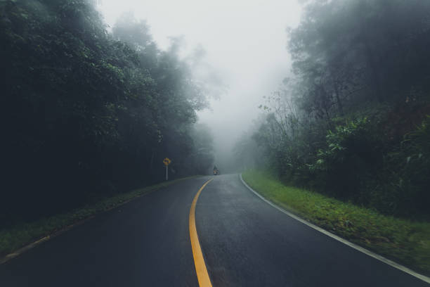istock Misty roads in the forest and travel 1174827291