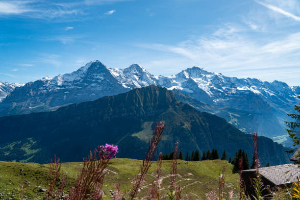 vue sur eiger, mônch et jungfrau depuis la platte schynige - snow european alps house grindelwald photos et images de collection