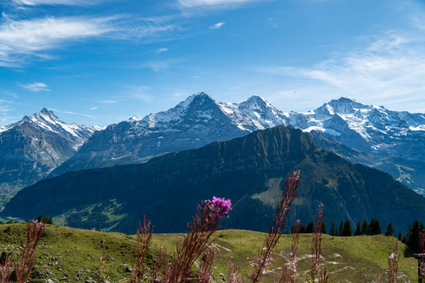 view on eiger, mönch and jungfrau from schynige platte - monch sun snow european alps imagens e fotografias de stock